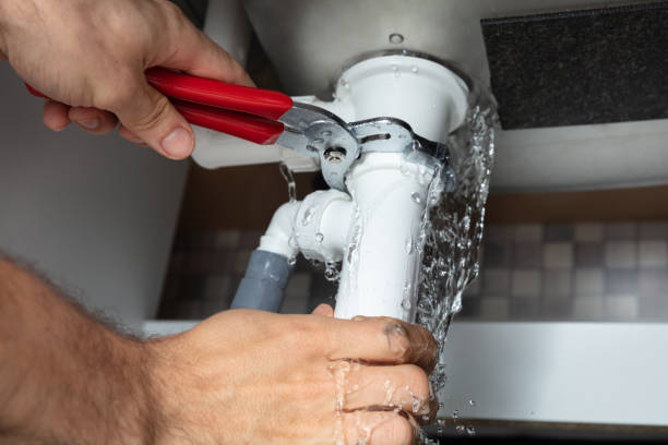 Best Emergency water extraction  in Bellevue, IL