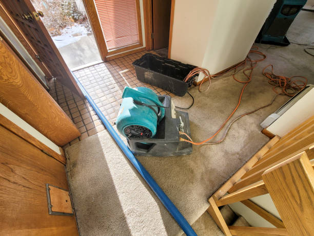 Best Professional water damage repair  in Bellevue, IL
