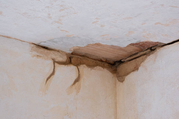 Best 24/7 water damage repair  in Bellevue, IL