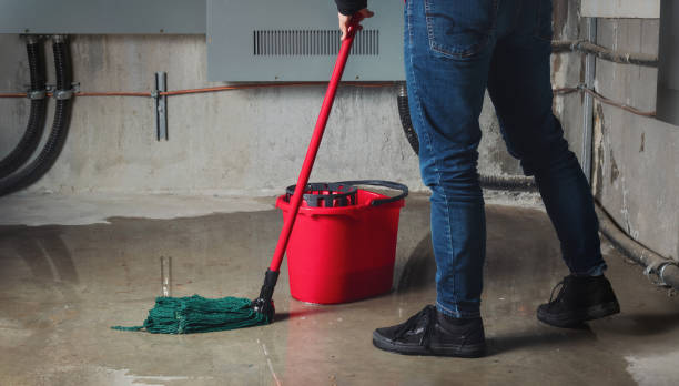 Best 24-hour water damage restoration  in Bellevue, IL