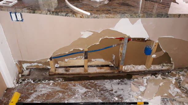 Best Basement water damage restoration  in Bellevue, IL