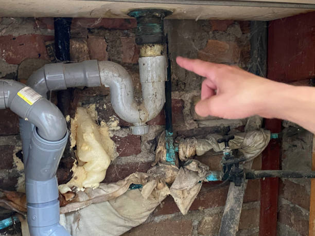 Best Fire Damage Restoration  in Bellevue, IL