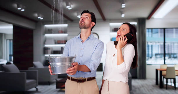 Best Ceiling water damage repair  in Bellevue, IL