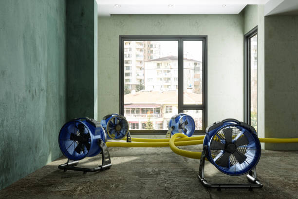 Best Emergency water damage restoration  in Bellevue, IL