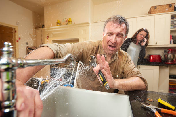 Best Flooded house restoration  in Bellevue, IL
